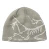 Arc"teryx Bird Head Toque "Grå"